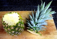 Corte 2,5 cm abaixo da coroa