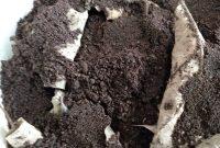 foto 11 - Distribuir um pouco de húmus de minhoca e/ou borra de café sobre as folhas secas