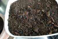 foto 12 - Cobrir tudo com uma camada terra para finalizar