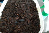 foto 14 - Aparência final antes de fechar com a tampa