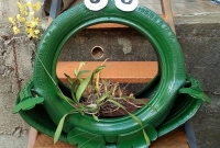Sapo