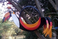 Tucano