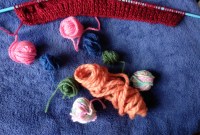 sobrinhas divididas igualmente ao meio