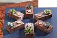 Vasinho para suculentas